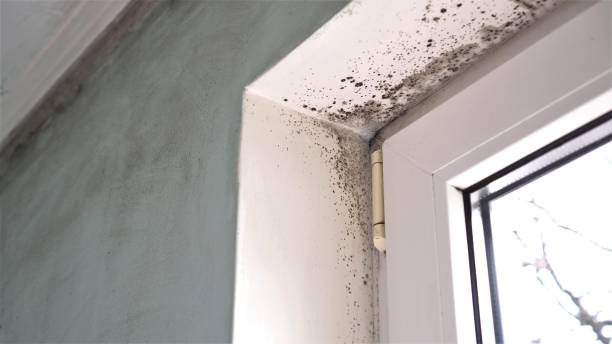 Water Damage Restoration in New Market, MD