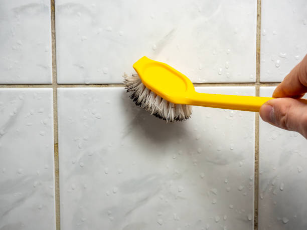 Best Certified Mold Removal  in New Market, MD
