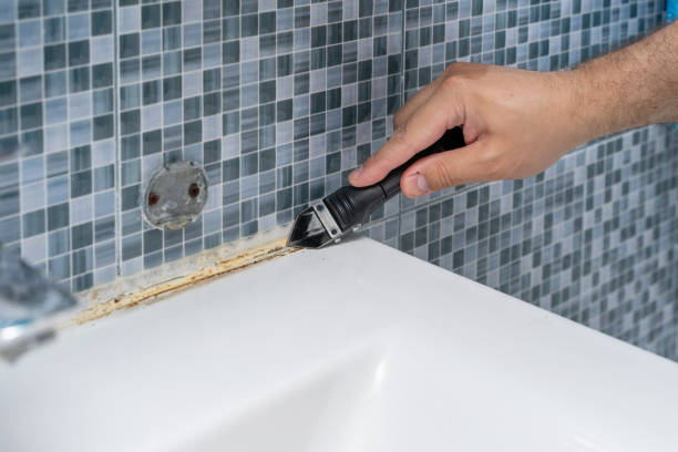 Reliable New Market, MD Mold Removal Solutions
